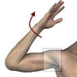 Контрактура плечевого сустава: причины развития, сопутствующие симптомы, методы терапии и лечебная гимнастика