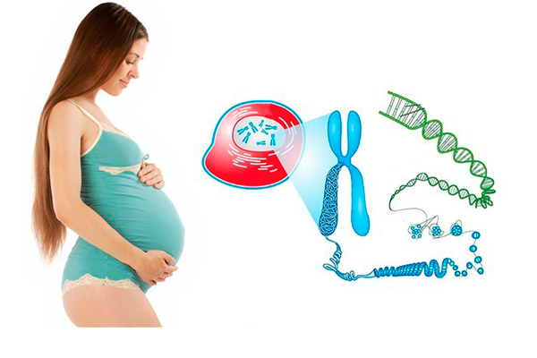 Кордоцентез при беременности: сроки проведения, подготовительные мероприятия, вероятные осложнения