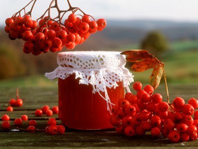Красная рябина – состав, лечебные свойства и противопоказания, простые и полезные рецепты народной медицины