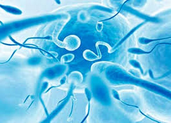 Лейкоцитоспермия у мужчин: причины развития, клиническая картина, методы лечения возможные осложнения