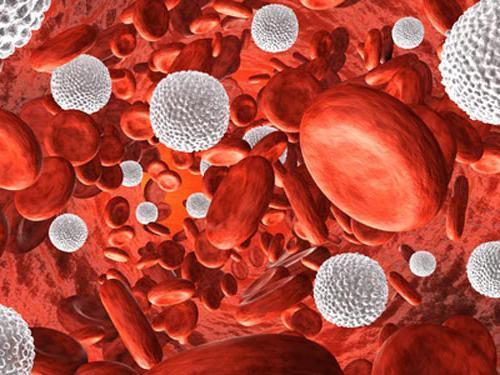 Лейкоцитоспермия у мужчин: причины развития, клиническая картина, методы лечения возможные осложнения