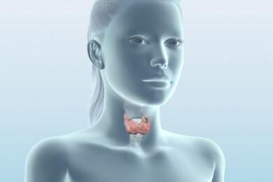 Лимфома щитовидной железы: стадии развития, характерные симптомы, методы обследования и лечения