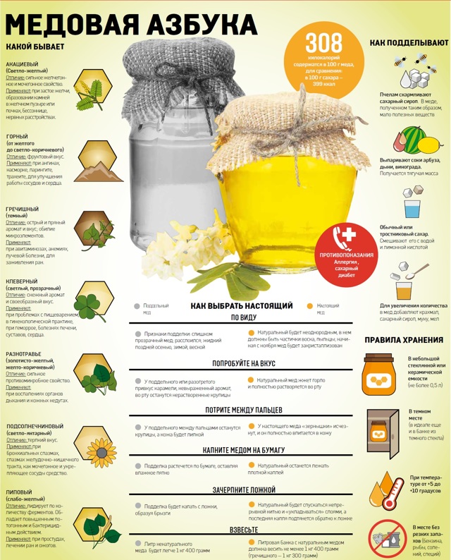 Мед: состав и калорийность, польза и вред для организма, противопоказания к употреблению
