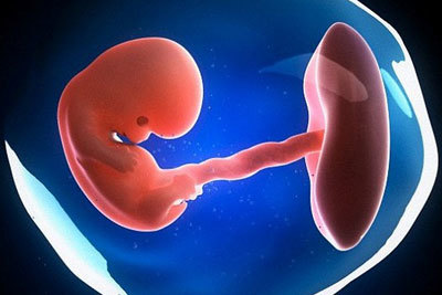 Медицинский аборт: виды и сроки проведения, противопоказания, возможные осложнения