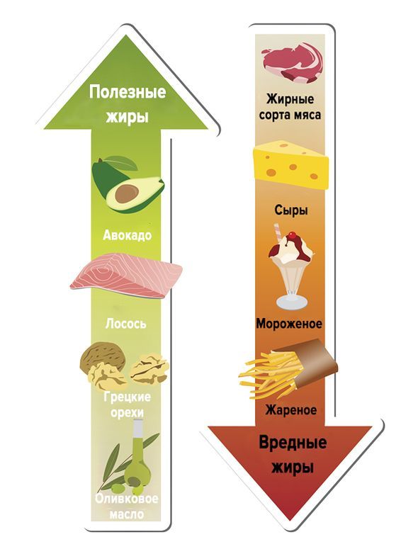 Методы очищения сосудов от холестерина, атеросклеротических бляшек и тромбов