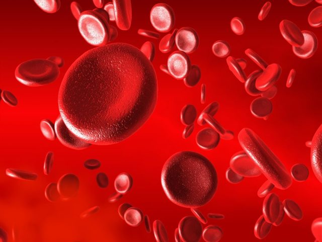 Множественная миелома крови: провоцирующие факторы, характерные симптомы, особенности лечения и прогноз