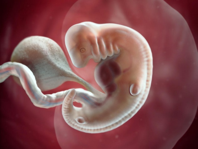 Могут отсутствовать признаки токсикоза на 6 недели беременности?