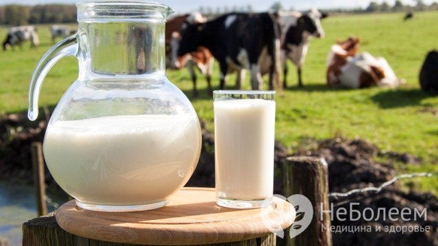 Молоко: польза и вред, химический состав и энергетическая ценность
