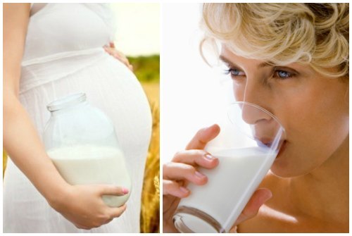 Молоко: польза и вред, химический состав и энергетическая ценность