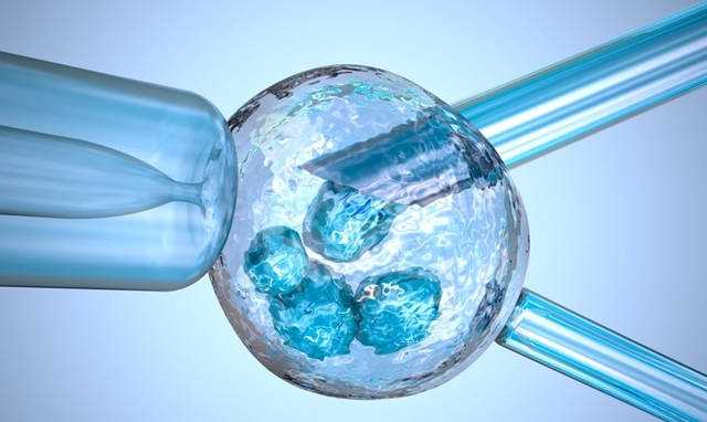 Мультифолликулярные яичники: причины развития, характерные признаки, методы обследования и терапии