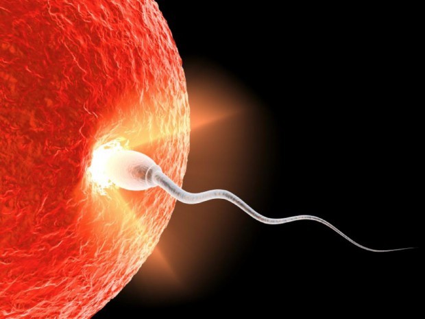 Олигоспермия: основные причины, диагностика и принципы лечения, вероятность зачатия