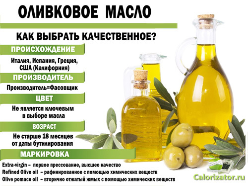 Оливковое масло: состав и пищевая ценность продукта, как его выбрать и хранить