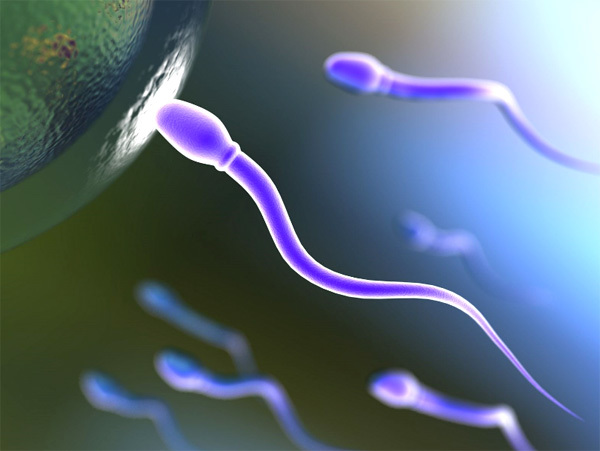 Описание и классификация акинозооспермии, есть ли шанс наступления беременности?