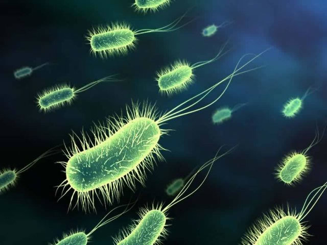 Острый и хронический бактериальный простатит: причины и симптомы воспаления, методы лечения и последствия