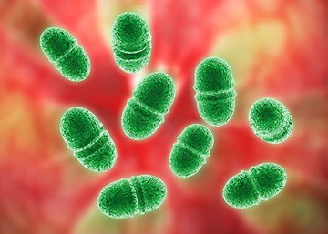 Острый и хронический бактериальный простатит: причины и симптомы воспаления, методы лечения и последствия