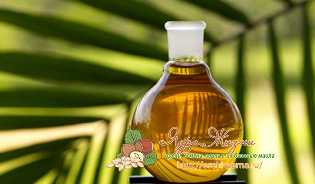 Пальмовое масло: разновидности, польза и вред для организма, сферы применения
