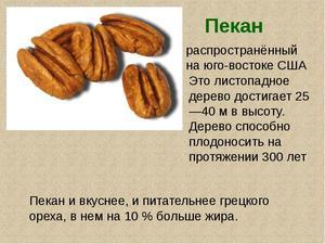Пекан: польза и вред ореха, пищевая ценность, сферы и способы применения