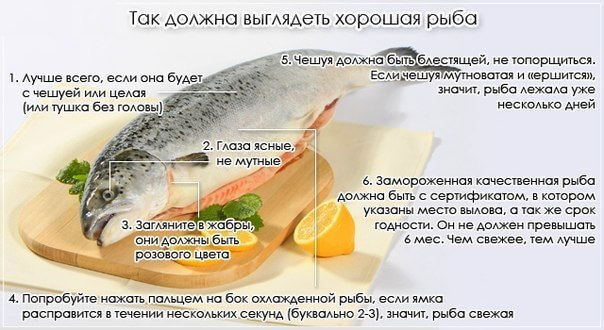Пищевое отравление рыбой: симптомы, первая помощь и методы лечения