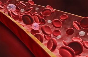 Почему понижен гемоглобин и образовался тромб