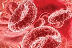 Почему понижен гемоглобин и образовался тромб