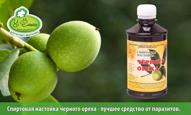 Польза черного ореха, химический состав плодов и листьев, использование в медицине, возможный вред от настойки