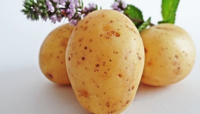 Польза и вред картофеля: состав, области применения, рекомендации по приготовлению и хранению клубней
