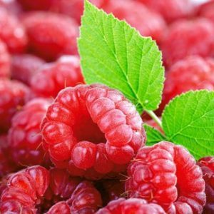 Польза и вред малины, применение ягоды в народной медицине