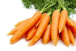 Польза и вред моркови для организма человека, нормы потребления, как правильно выбрать и хранить продукт