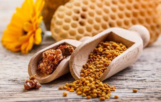 Польза и вред прополиса, состав, противопоказания и применение пчелиного клея в медицине