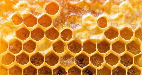 Польза и вред прополиса, состав, противопоказания и применение пчелиного клея в медицине