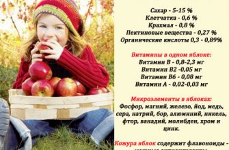 Польза яблок для ребенка: состав полезных веществ во фрукте, сроки введения в рацион малыша, противопоказания к употреблению и советы педиатров
