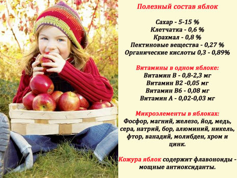 Польза яблок для ребенка: состав полезных веществ во фрукте, сроки введения в рацион малыша, противопоказания к употреблению и советы педиатров