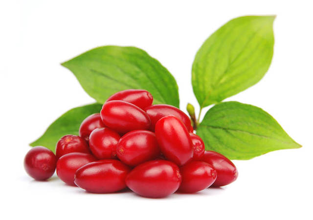 Полезные свойства кизила, состав ягоды, противопоказания к употреблению