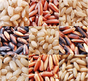 Полезные свойства красного риса, химический состав и правила приготовления