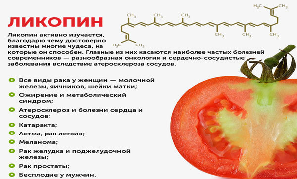 Полезные свойства томатов, химический состав и пищевая ценность, вред и противопоказания