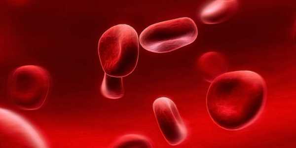 Причины повышения билирубина в крови, виды и физиологические процессы превращения, разновидности желтухи