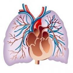 Приобретенные пороки сердца у детей и взрослых — причины возникновения, особенности диагностики, лечебные тактики и оперативное лечение