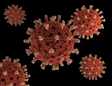 Прививка от ротавируса детям: когда следует делать, есть ли смысла после года, что говорит об этом Комаровский?
