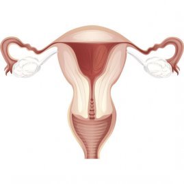 Признаки и методы лечения острого и хронического эндометрита матки