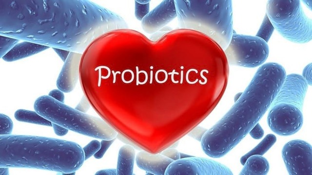 Пробиотики: польза для организма, список лучших препаратов, содержание в продуктах
