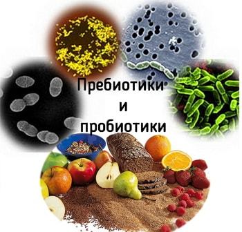 Пробиотики: польза для организма, список лучших препаратов, содержание в продуктах