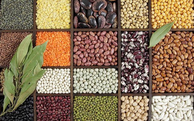 Продукты – источники белков растительного происхождения, протеин в меню вегана
