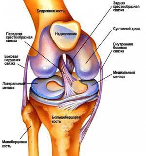 Рассекающий остеохондрит тазобедренного сустава: механизм развития, клинические проявления, диагностика и тактика лечения