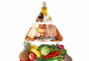 Раздельное питание: польза и вред, главные правила, примерный рацион, противопоказания методики