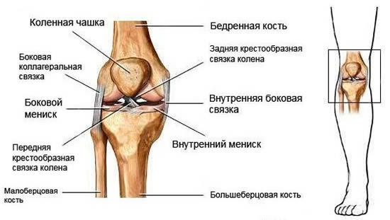 Разрыв связок коленного сустава: степени тяжести, диагностика и особенности лечения, реабилитация