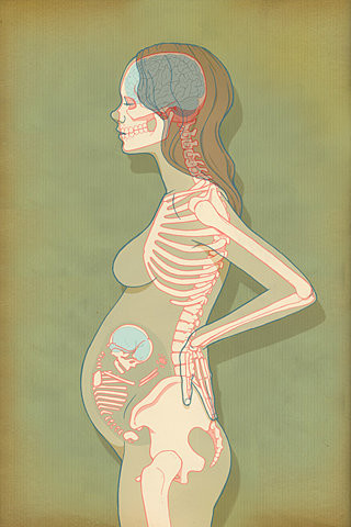 Рентген при беременности на ранних и поздних сроках: воздействие лучей, последствия для ребенка, рекомендации по обследованию
