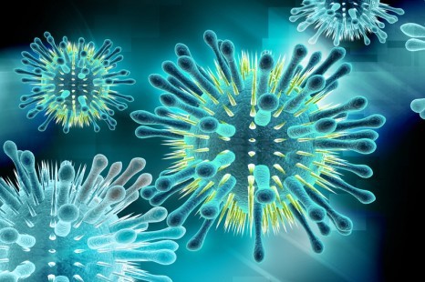 Риновирусная инфекция: отличительные признаки, методы лечения и профилактики