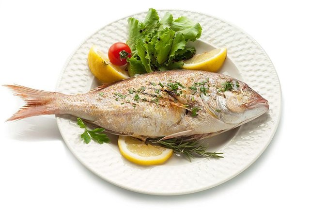 С какой рыбы начинать прикорм, как приготовить рыбу для прикорма, как вводить рыбу