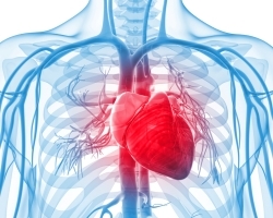 Сердечная недостаточность: симптомы и лечение, диагностика