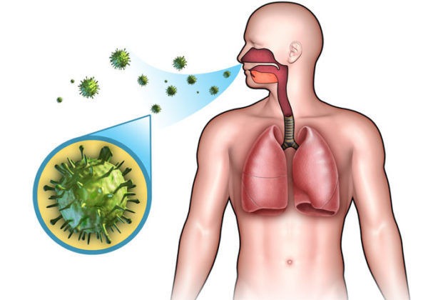 Симптомы заболеваний желчного пузыря: причины боли в правом подреберье, появлении налета на языке, горечи во рту